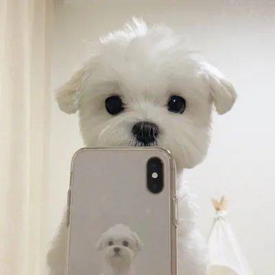  微信头像大全百看不厌头像美图
