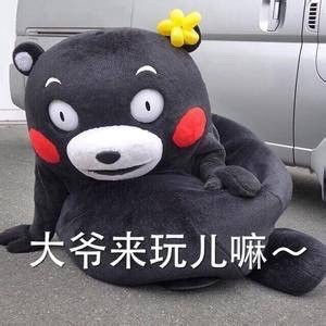  熊本熊表情包我被五花肉蒙蔽了双眼