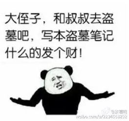  用一个表情包形容你的专业看到最后一个我竟无语凝噎