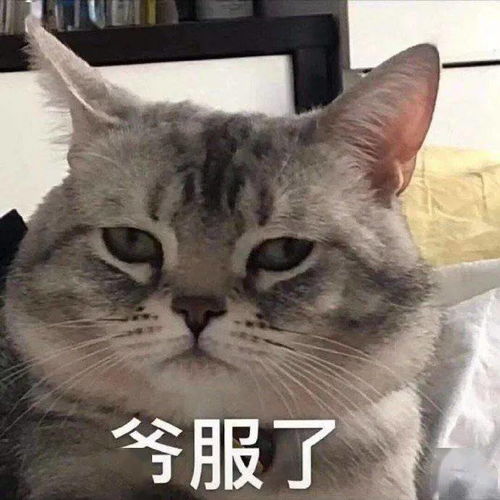  嘴快说错话是什么体验又到了喜闻乐见的社死环节