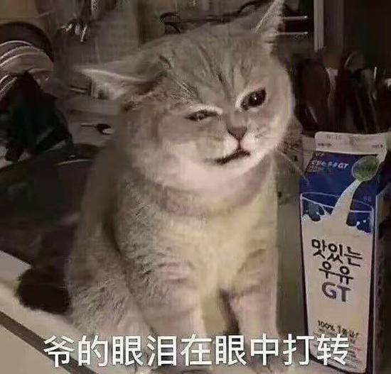  囧哥比电视剧精彩小伙为娶白富美照顾偏瘫骗子八年