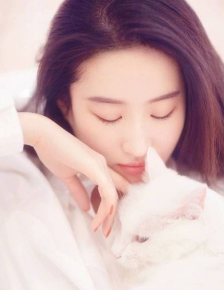  刘亦菲清新大片,猫咪和慵懒的女神一起沐浴阳光,美到不可思议