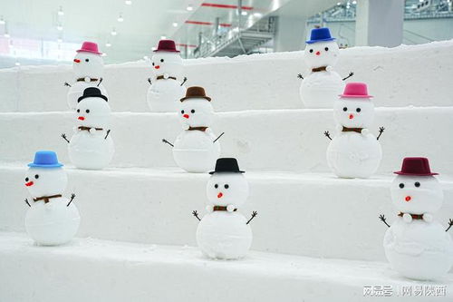  欢乐奇遇雪舞长安西安首个室内大型雪上乐园嘉年华活动盛大启幕