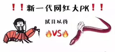  惊呆了,女主播竟直播与黄鳝