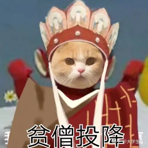  天线宝宝唐僧猫咪萌宠表情包