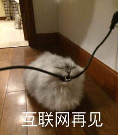  大b神脱口秀还有王法吗短裙黑丝乘客坐滴滴,居然把腿翘到副驾驶座