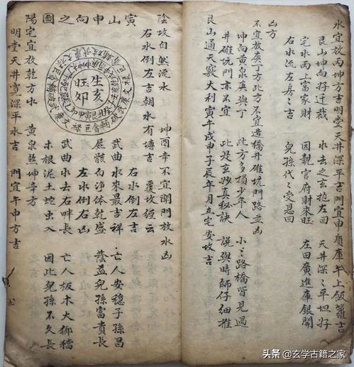 潘字微信头像图阴阳