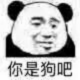  我想要养一条像你这样的狗表情包大全