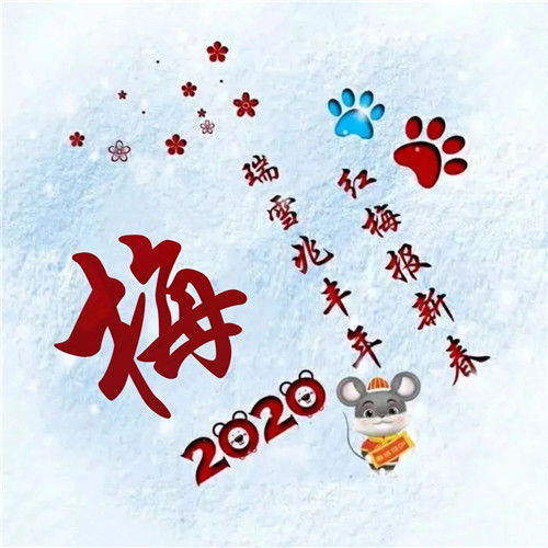  寓意吉祥好兆头的姓氏头像图片瑞雪兆丰年红梅报新春