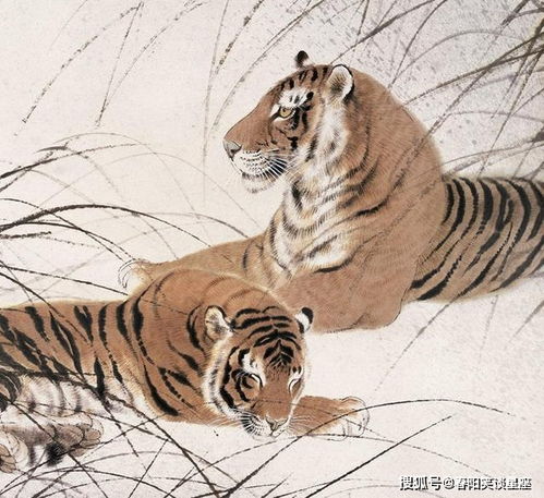 女人头像越干净越有福气