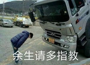 卡车表情包开车