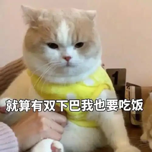  在朋友圈看不一样的腊八节打开方式