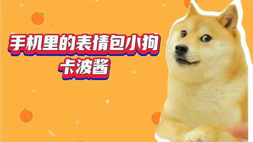  手机里的表情包小狗卡波酱