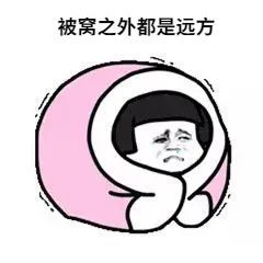  12月31日前,赶紧把这笔社保费缴上
