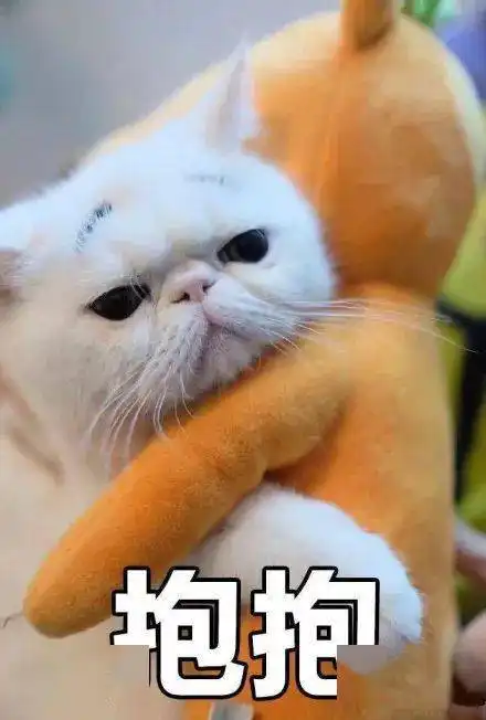  开心得像个憨憨