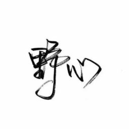  秉相论金美元成唯一避险货币,黄金单边下跌19美金,多单解套
