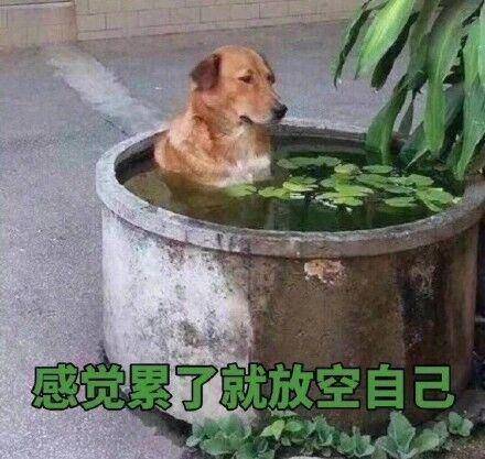 冰天百花葬表情包大蜗牛