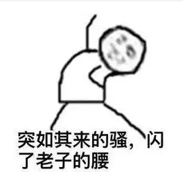  突如其来的骚闪了老子的腰表情图片下载突如其来表情包完整版多版本下载飞翔下载
