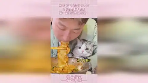  当毛孩子看我吃陕西面,竟然是这种表情,猫这是吃的啥玩意