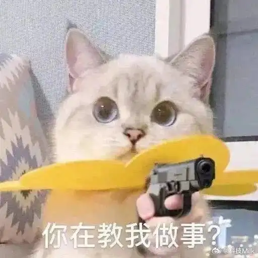 打滚表情包猫猫猫咪