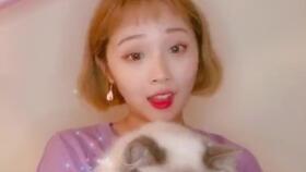  姐妹们快去套路男朋友套路表情包情侣情侣日常情侣日常对话