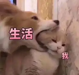  生活与我,一组虐虐的表情包