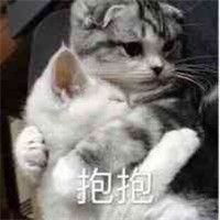  乖啦我的小可爱表情包带字微信头像图片大全