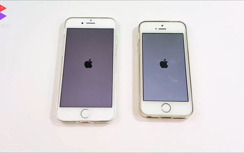  表情iphonesevsiphone7小钢炮毫不服软哔哩哔哩干杯bilibili表情