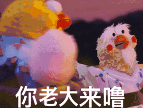  祝你鸡年大吉吧