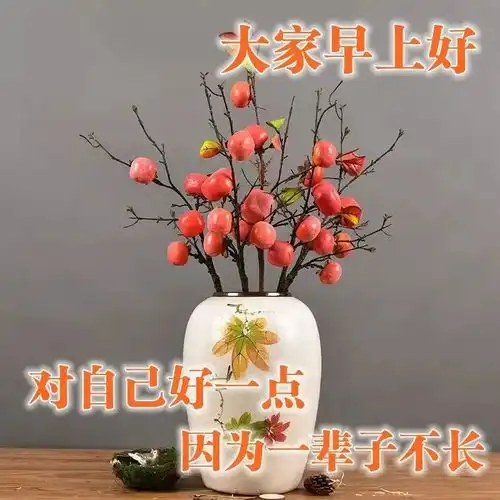  早上好问候专辑早安祝福语录早安心语正能量早上好动图表情