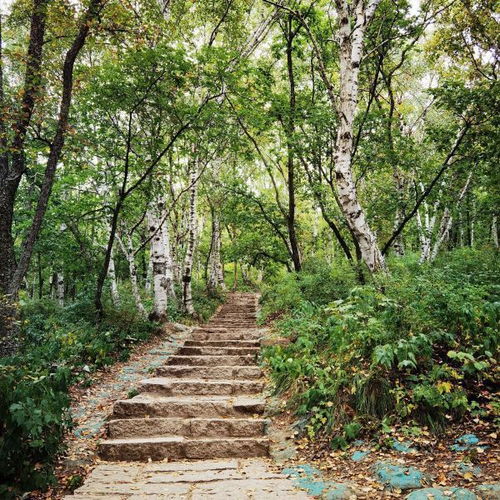  百花山自然风景区门票,百花山自然风景区游玩攻略360地图