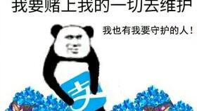  崩坏3周年挑战赛双王之死9000分