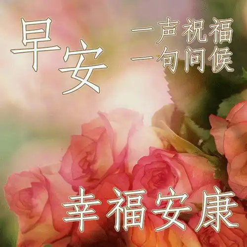 早早上好表情包问安