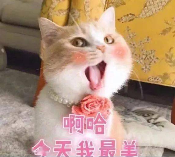  真的出太阳了但是...