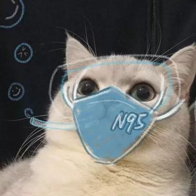  你们要的戴口罩头像来了
