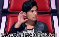  好声音可不会轻易地狗带