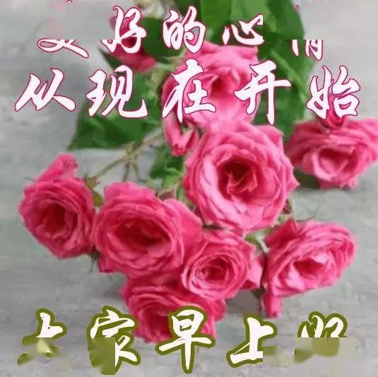  早晨祝福图片五.一问候句子