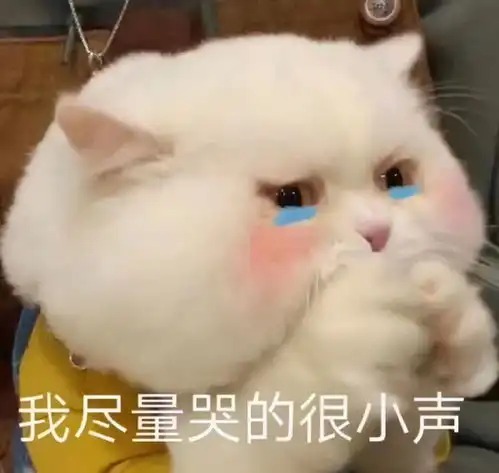  长得太美也是一种病