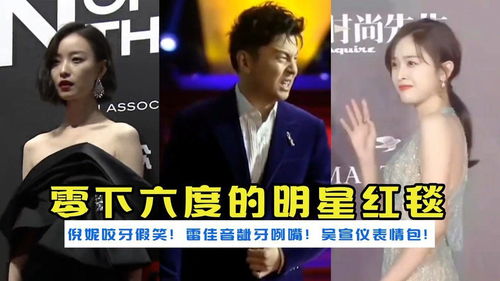  零下六度的明星红毯,嗯哼冻出表情包,倪妮咬牙假笑,赵丽颖流泪