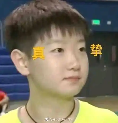  莎宝表情包存图楼