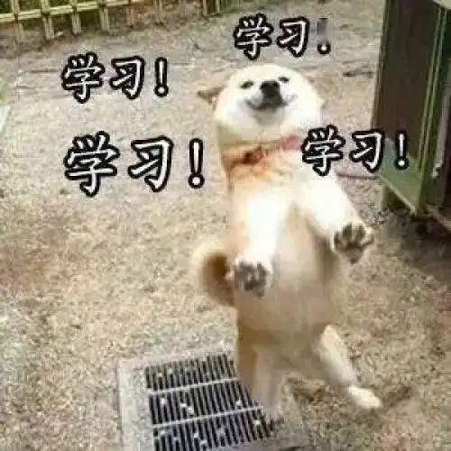  鸭哥干货5组流程图7分词汇53个雅思小作文的高分句型