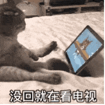  抖音热门潮图表情i摸你屁股