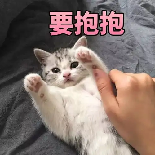  2019最火表情包大盘点今天你又用了哪个哈哈哈哈