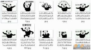  白鹤亮翅魔性表情包飞龙在天系列表情包无水印下载乐游网手机下载站