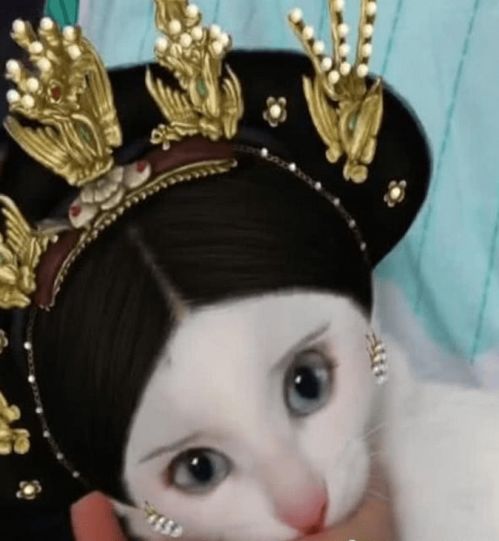  主人给猫咪化清宫妆,头上还戴了一个皇冠,网友撞脸甄嬛