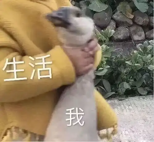  一个苏州宝妈的2018带娃年终总结,字字戳心