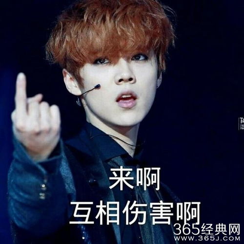 任嘉伦搞笑表情包幽默笑