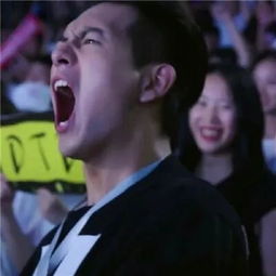  全网最火的特辑来了