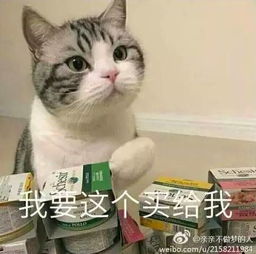  12315吗我要举报,这有一堆假猫