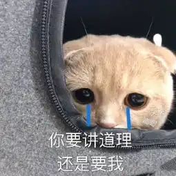  跟男朋友撒娇表情包睡醒了,要抱抱